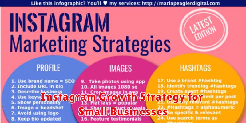 Instagram Growth Strategy for Small Businesses