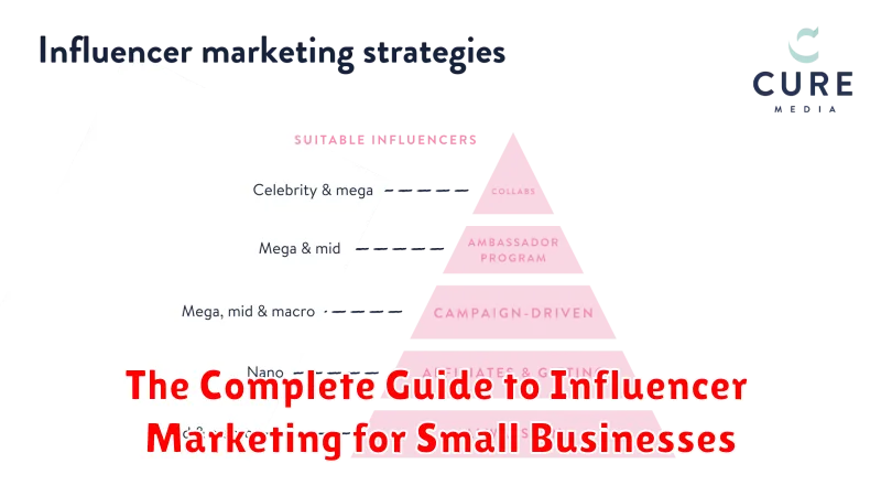 The Complete Guide to Influencer Marketing for Small Businesses
