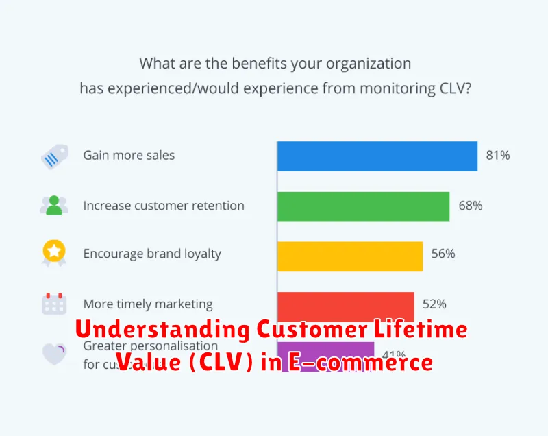 Understanding Customer Lifetime Value (CLV) in E-commerce